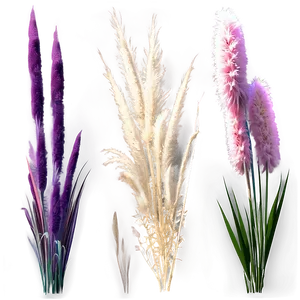Pampas Grass Bouquet PNG Ifr46 PNG