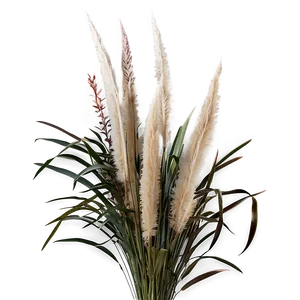 Pampas Grass Bouquet PNG Tkf