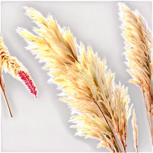 Pampas Grass Bouquet PNG Umc6 PNG