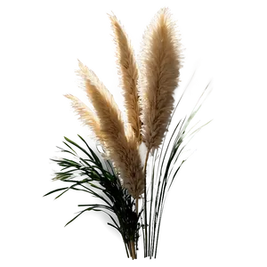 Pampas Grass Bundle PNG 80
