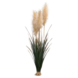 Pampas Grass Bundle PNG Ker23