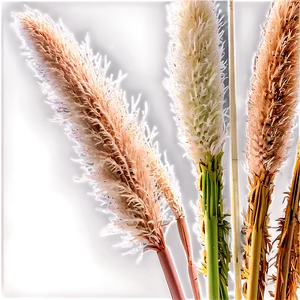 Pampas Grass Bundle PNG She87