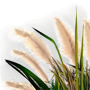 Pampas Grass Bundle PNG Smf25 PNG