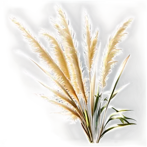 Pampas Grass Closeup Png 67 PNG image