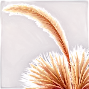Pampas Grass Crown PNG Kdt18 PNG
