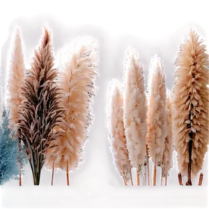 Pampas Grass Decor Idea PNG 11 PNG