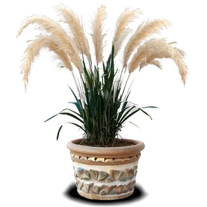 Pampas Grass In Pot PNG 75