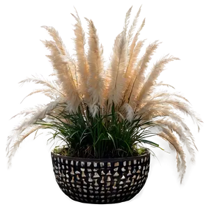 Pampas Grass In Pot PNG Uao