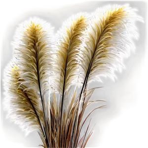 Pampas Grass In Wind Png 43 PNG image