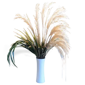 Pampas Grass Interior PNG 90