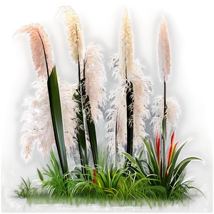 Pampas Grass Landscape Png 06272024 PNG image