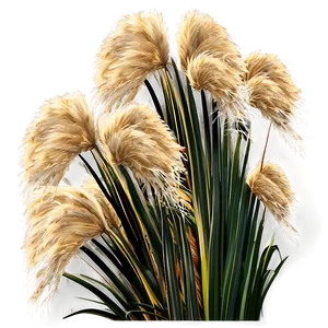 Pampas Grass Landscape Png 06272024 PNG image