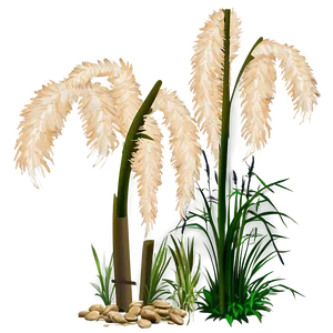 Pampas Grass Outline PNG 06272024 PNG