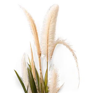 Pampas Grass Pattern PNG Avx86 PNG
