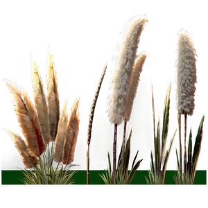 Pampas Grass Scene PNG 91