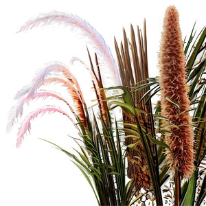 Pampas Grass Scene Png Fph PNG image