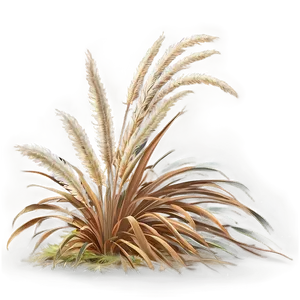 Pampas Grass Scene PNG Psa