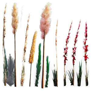 Pampas Grass Silhouette PNG Wdk PNG