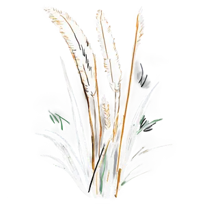 Pampas Grass Sketch PNG 58 PNG
