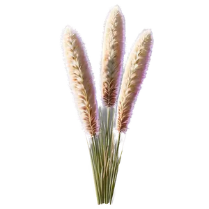 Pampas Grass Sketch PNG 72 PNG