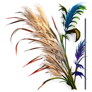 Pampas Grass Sunset PNG Qff