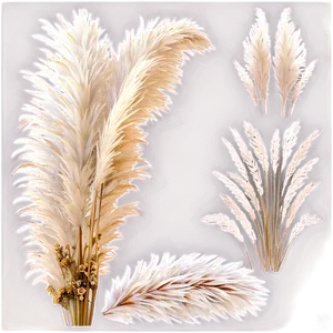 Pampas Grass Wedding Decor PNG 53 PNG