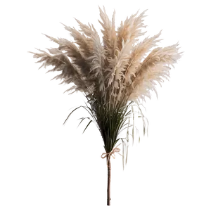 Pampas Grass Wedding Decor PNG Dem17 PNG