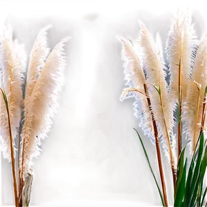 Pampas Grass With Dew Png 06122024 PNG image