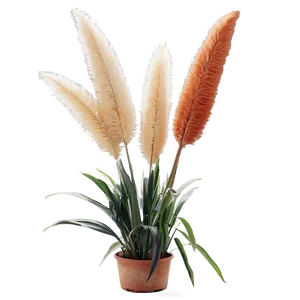Pampas In Pot PNG 1 PNG