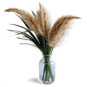 Pampas In Vase Png 4 PNG image