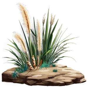 Pampas On Cliff PNG 06272024 PNG