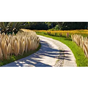 Pampas Pathway PNG 82 PNG