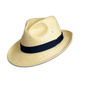 Panama Hat PNG 05042024