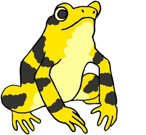 Panamanian Golden Frog Illustration PNG image