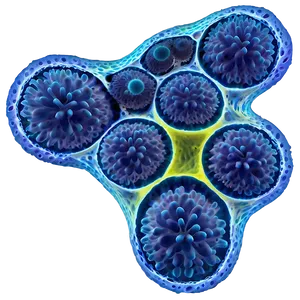 Pancreatic Cells Endocrine PNG 68 PNG