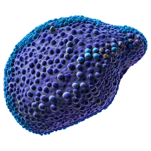 Pancreatic Cells Endocrine PNG 93 PNG