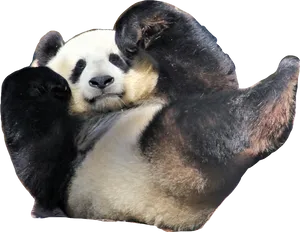 Panda Waving Hello.png PNG image