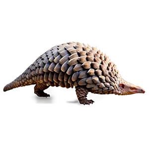 Pangolin B PNG image