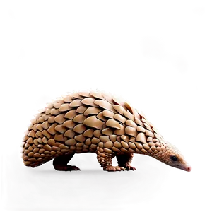 Pangolin Environmental Icon PNG Mch PNG