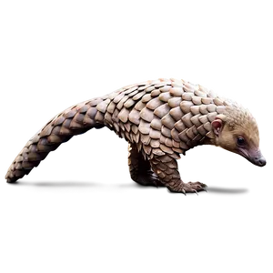 Pangolin In Dynamic Pose PNG Jje84 PNG