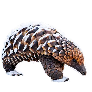 Pangolin In Snowy Landscape PNG 90 PNG