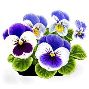 Pansy Flower Bush PNG 06122024