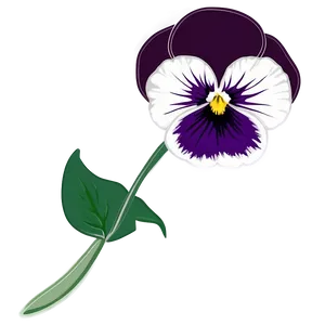 Pansy Flower Drawing PNG Dfq27
