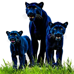 Panther Family PNG 05242024 PNG