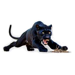 Panther Hunting PNG Twd72 PNG