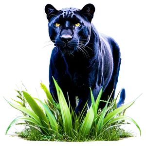 Panther In Grass PNG Cqx