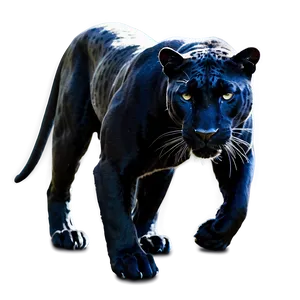 Panther In Shadows PNG Agc15 PNG