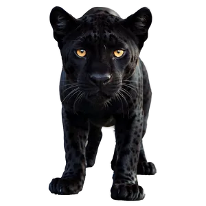 Panther In Shadows PNG Frk14