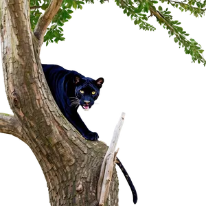 Panther In Tree PNG 11