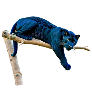 Panther On Branch Png 25 PNG image